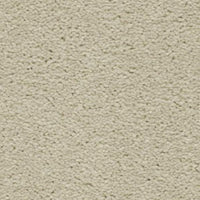 Hudson Carpet