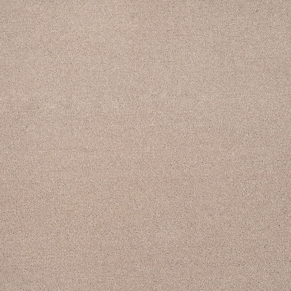 Highgate 50oz Carpet