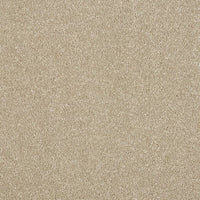 Smart Atilius Carpet