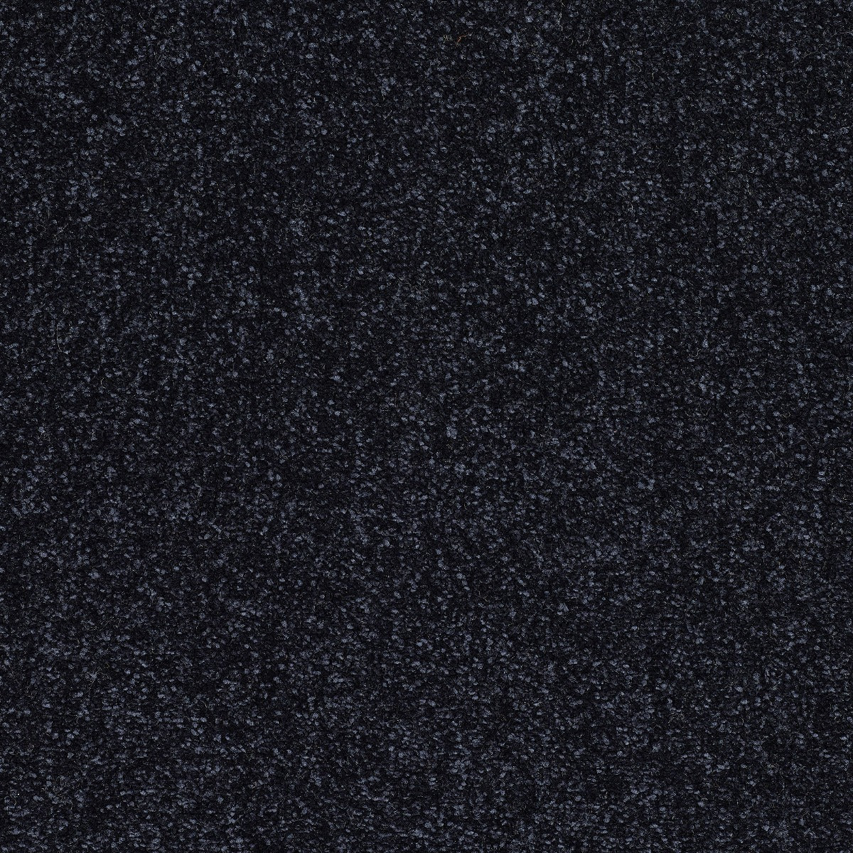 Caress Carpet