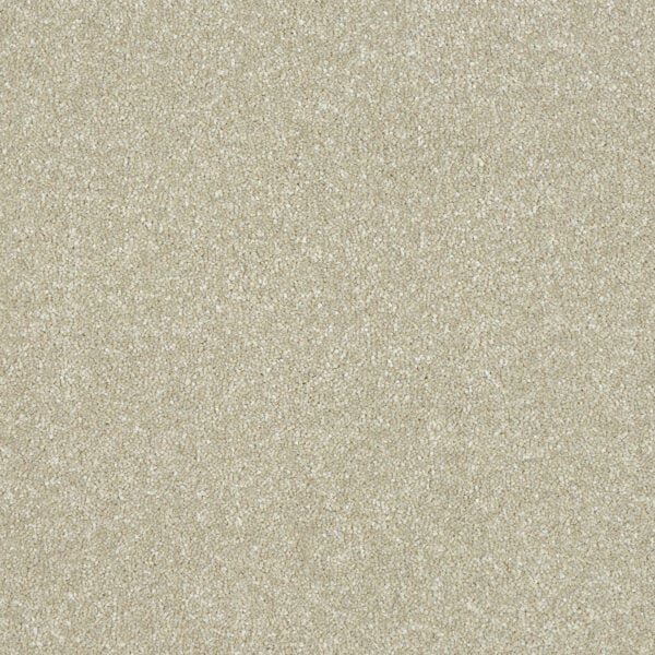 Smart Atilius Carpet