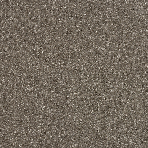 Smart Elite Carpet