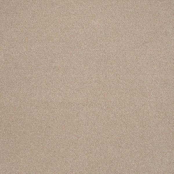 Highgate 50oz Carpet