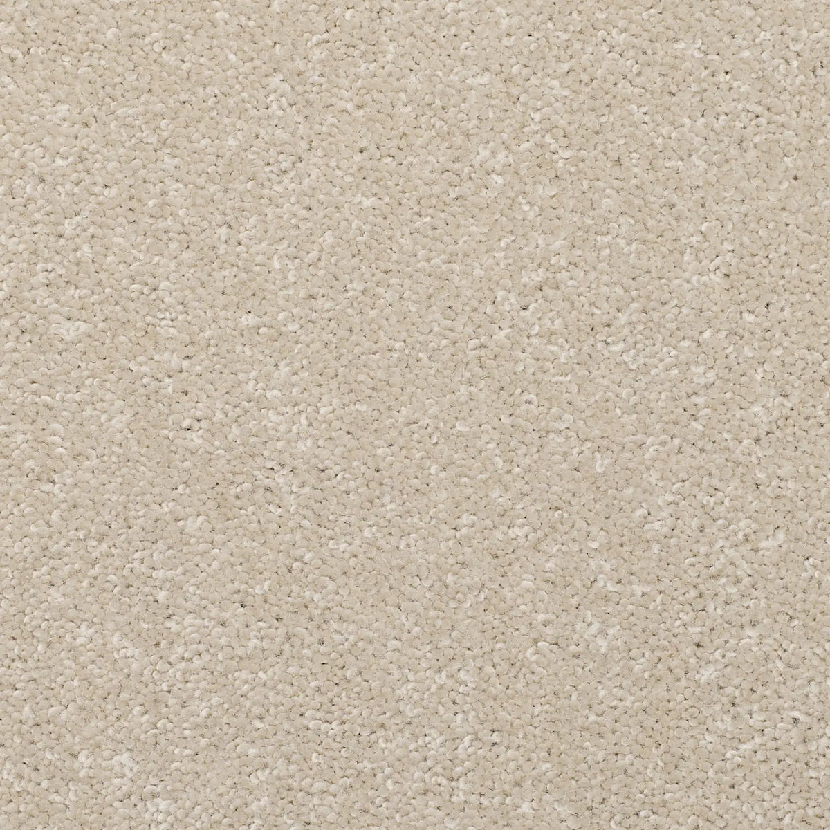 Superior Choice Plains 50oz Carpet