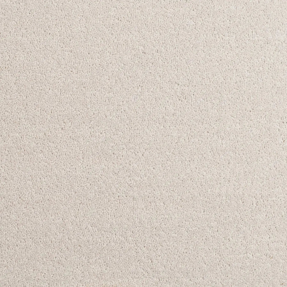 Superior Choice Plains 50oz Carpet