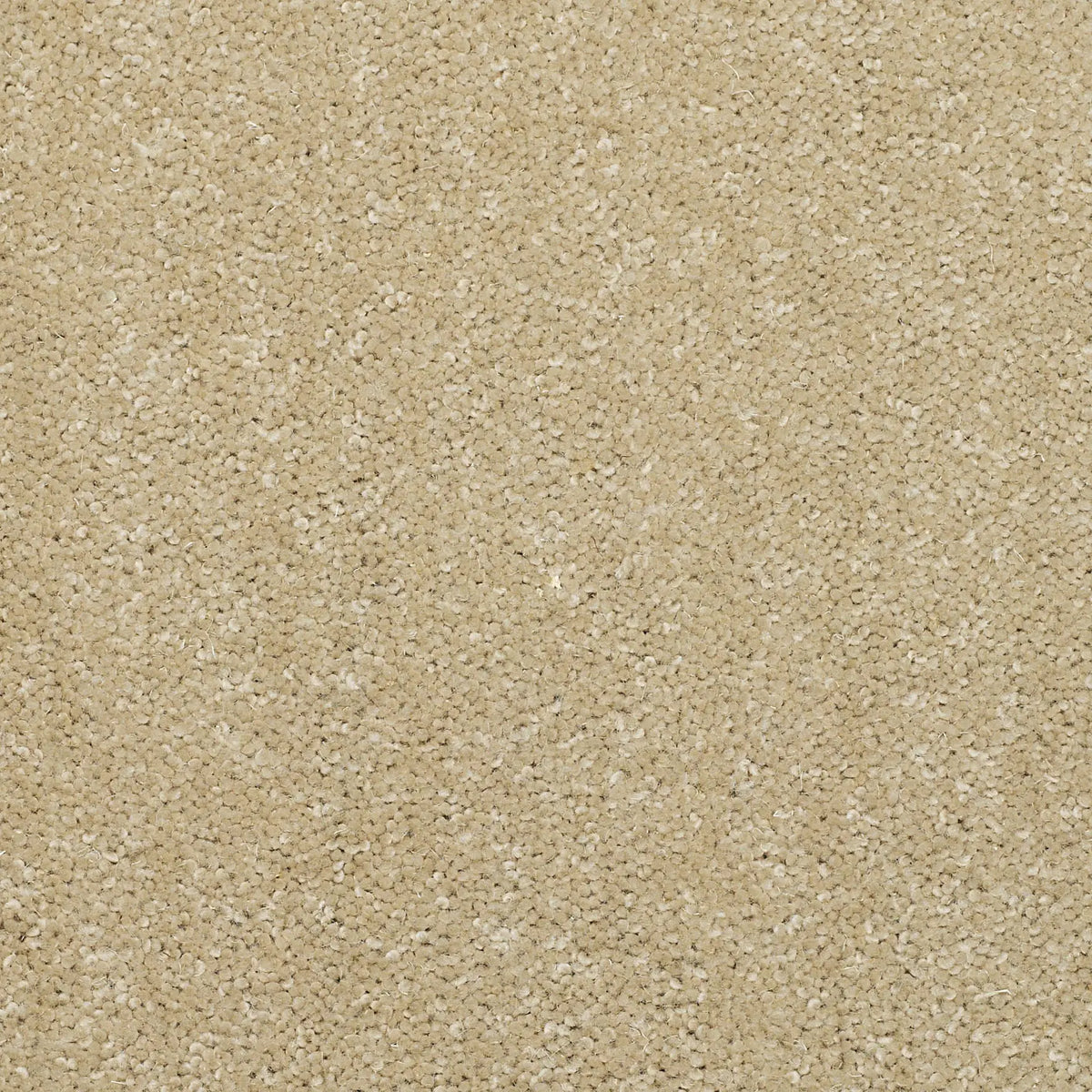 Superior Choice Plains 50oz Carpet