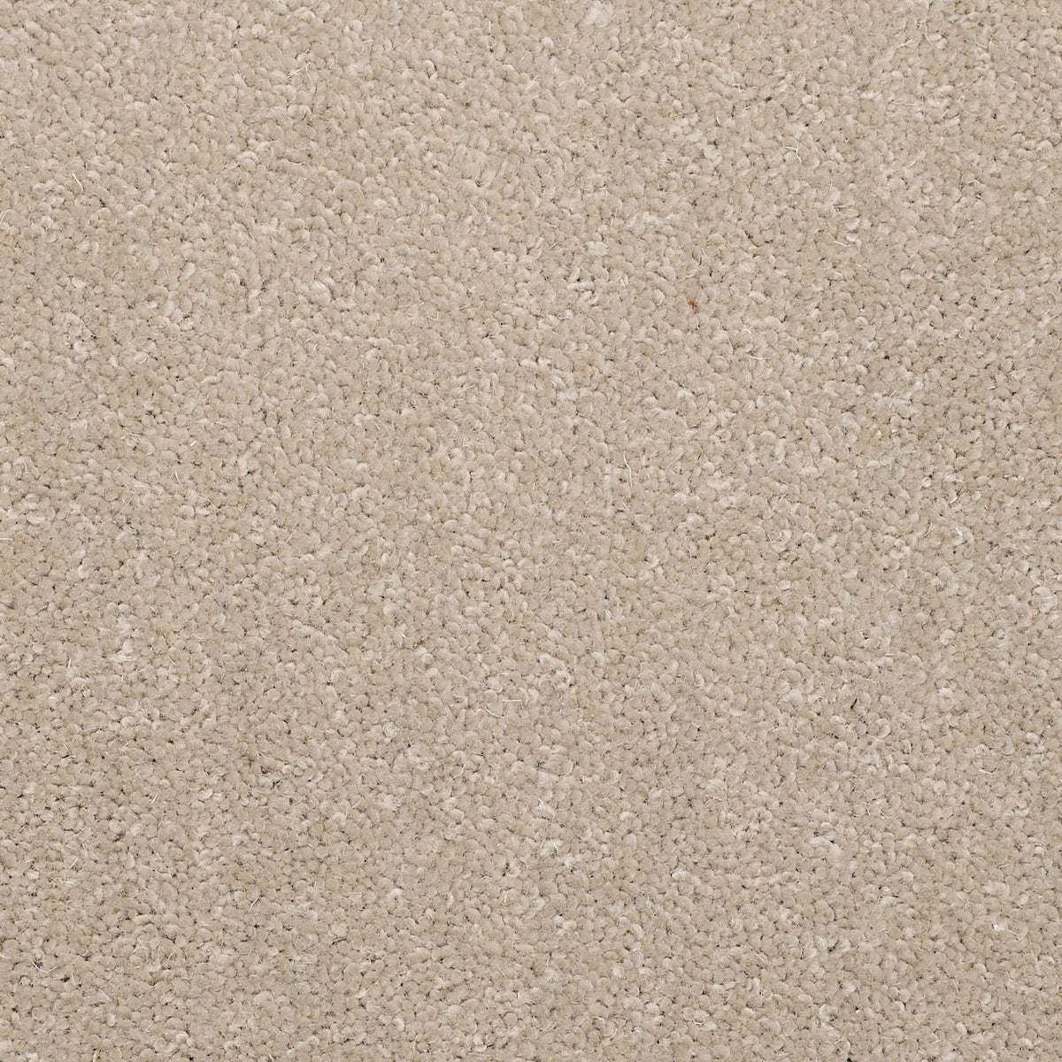 Superior Choice Plains 50oz Carpet