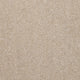 Superior Choice Plains 50oz Carpet