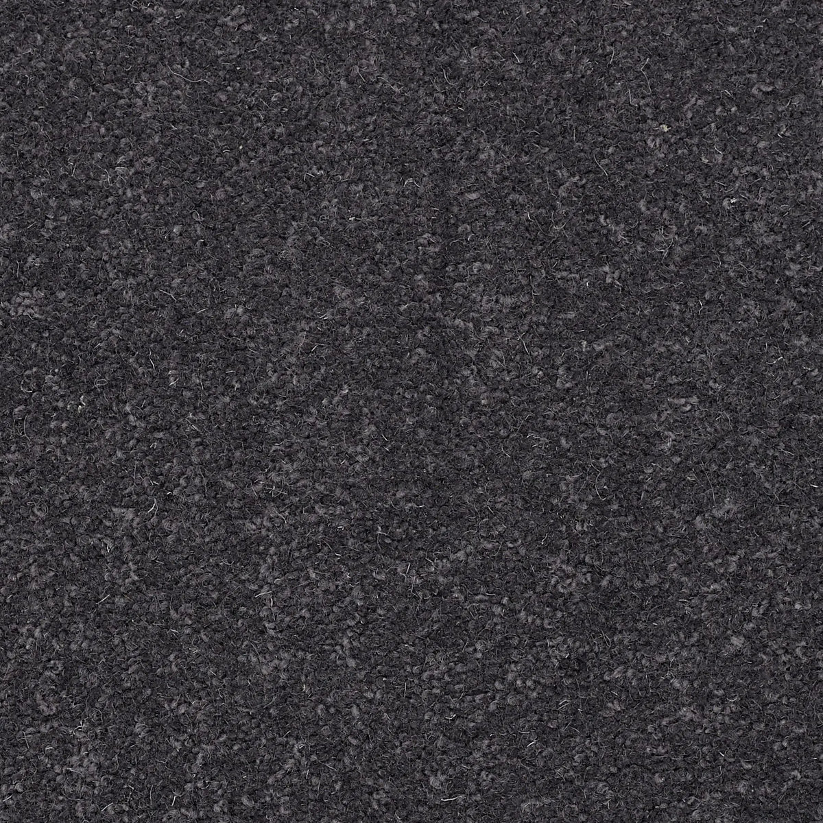 Superior Choice Plains 50oz Carpet