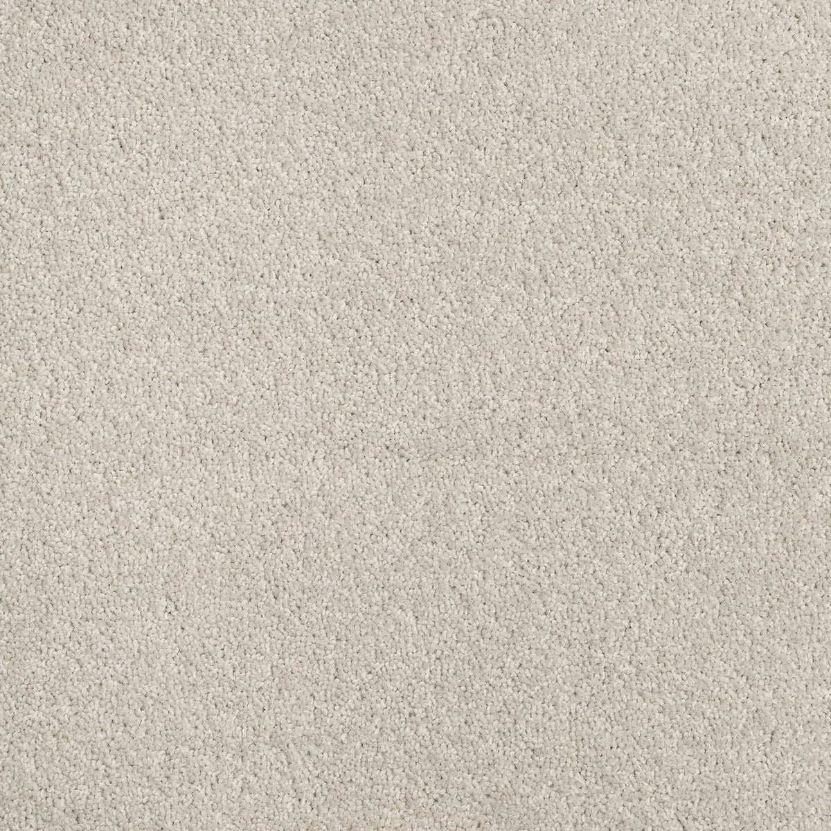 Superior Choice Plains 50oz Carpet