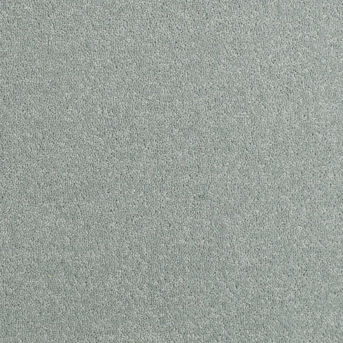 Superior Choice Plains 50oz Carpet
