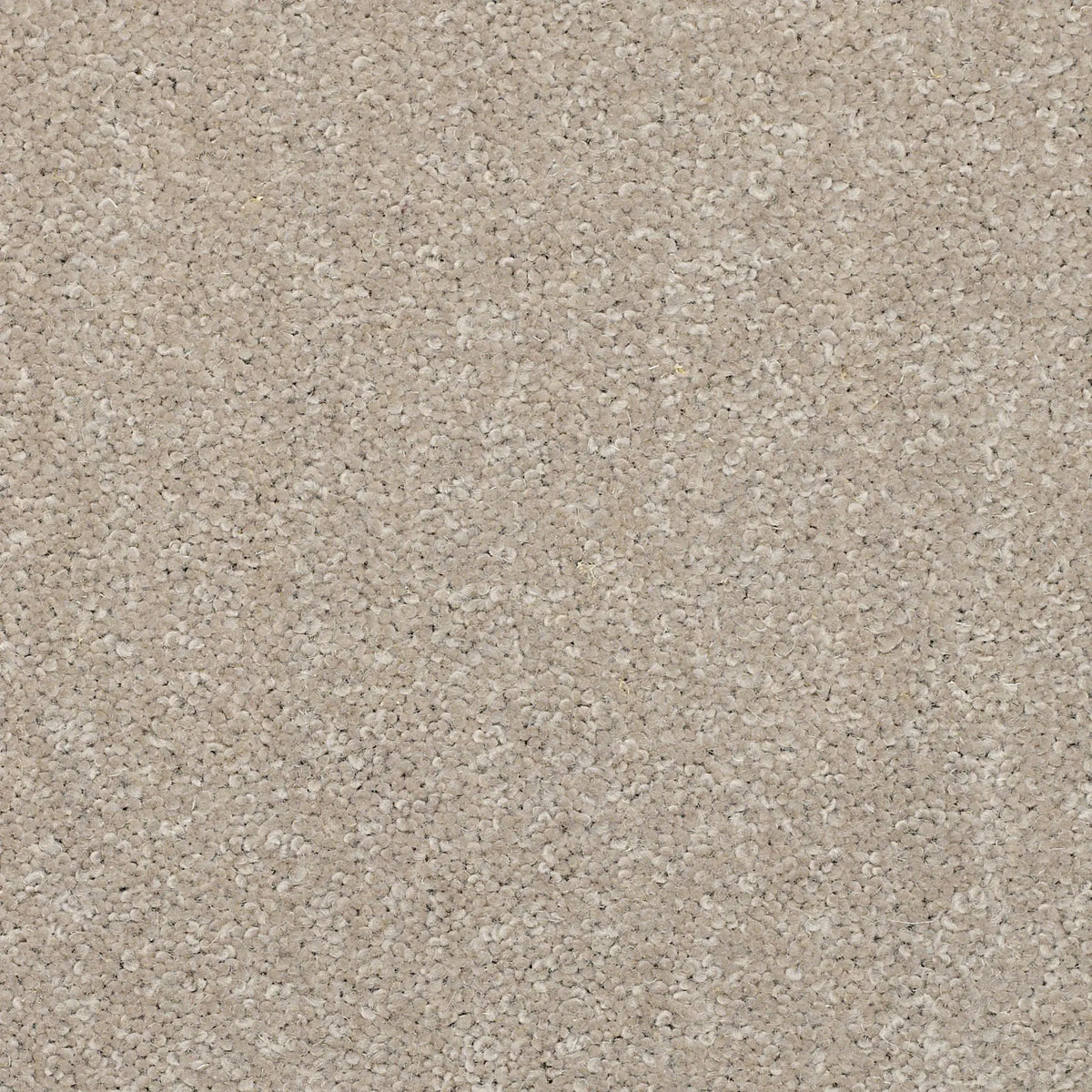 Superior Choice Plains 50oz Carpet