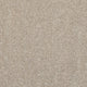 Superior Choice Plains 50oz Carpet