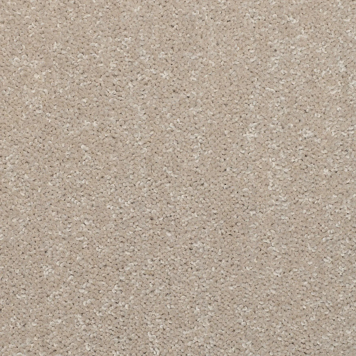 Superior Choice Plains 50oz Carpet