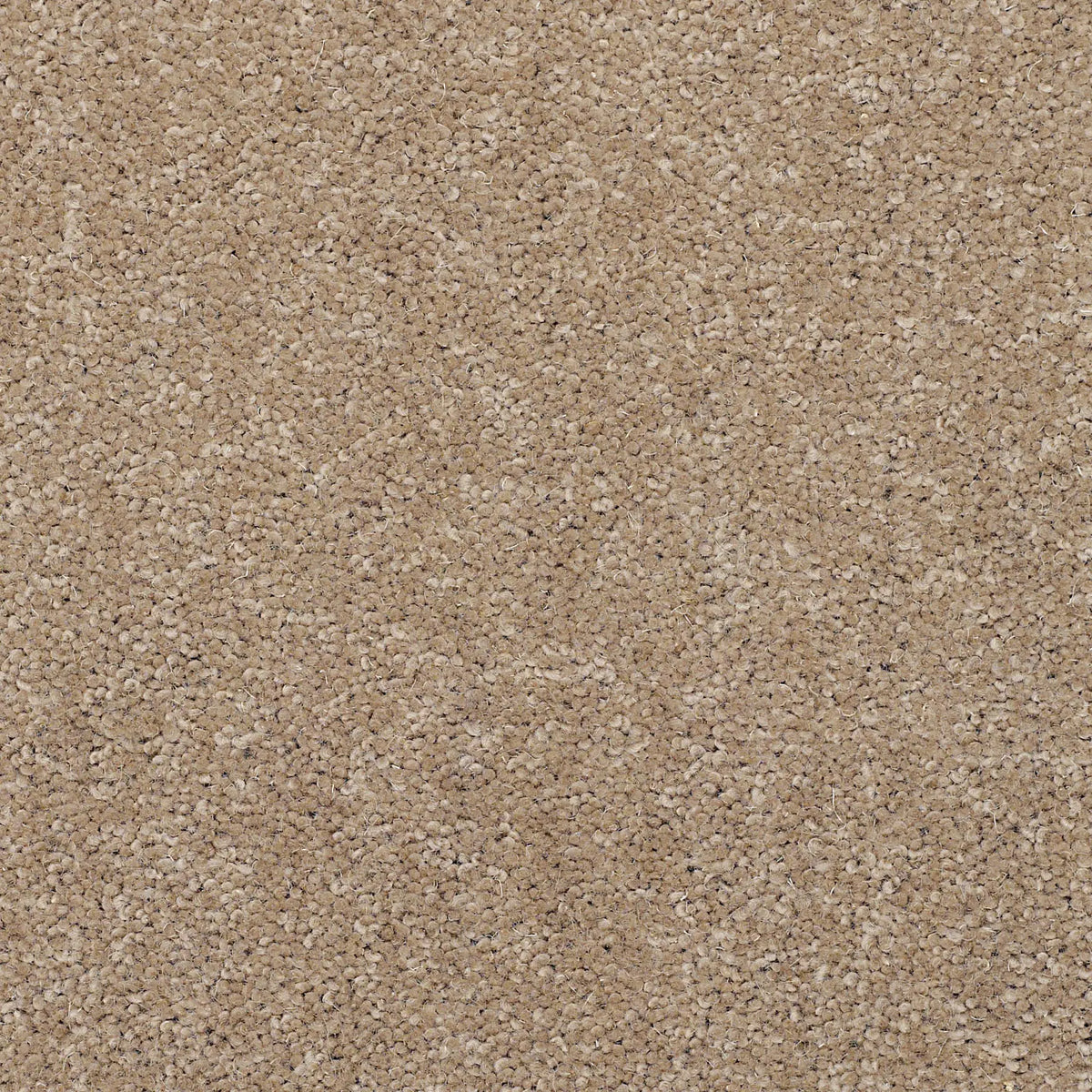 Superior Choice Plains 50oz Carpet