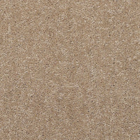 Superior Choice Plains 50oz Carpet