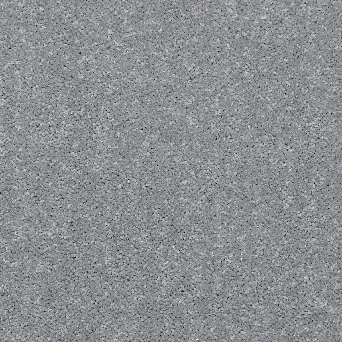 Superior Choice Plains 50oz Carpet