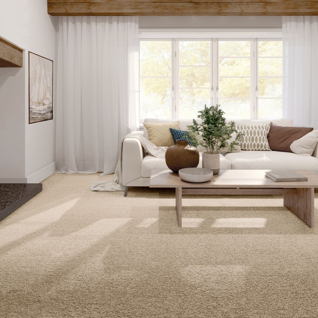 Endless Charm Carpet