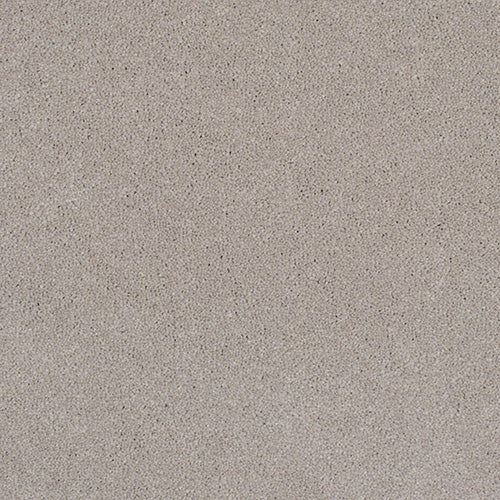 Pandora Carpet