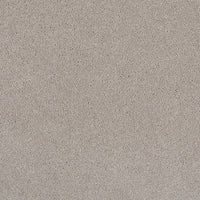 Pandora Carpet