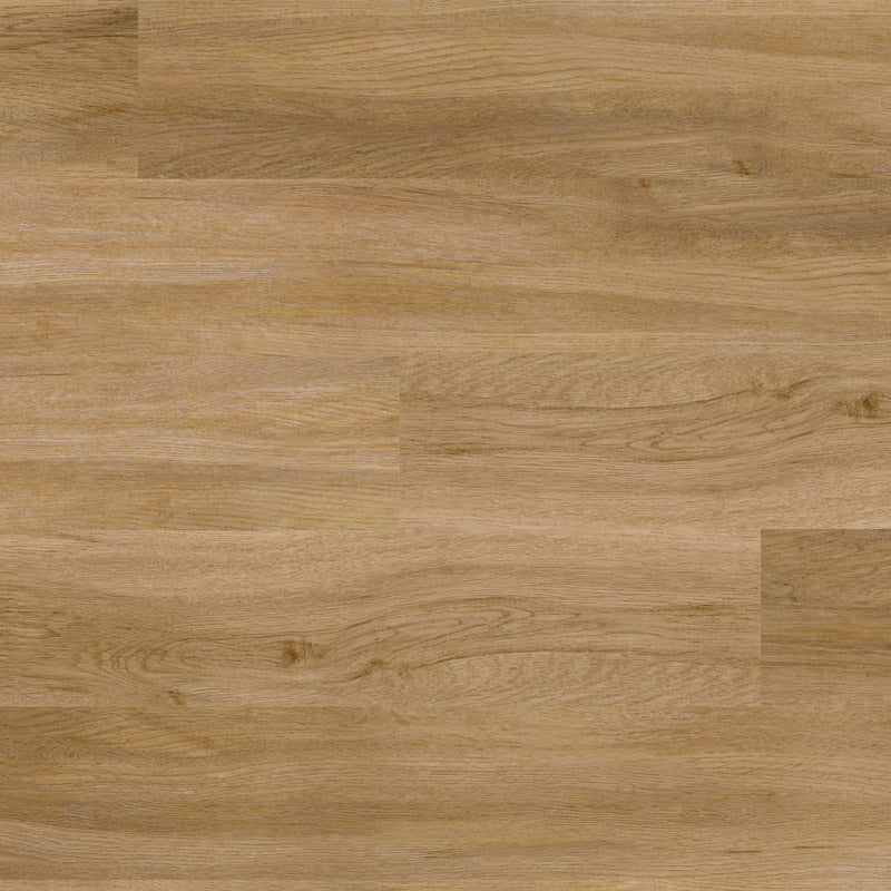 Polyflor Colonia LVT Flooring