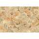 Glenavy Carpet - Ulster