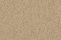 Grange Wilton Carpet - Ulster