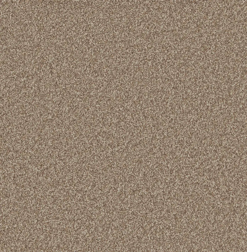 Woodland Carpet