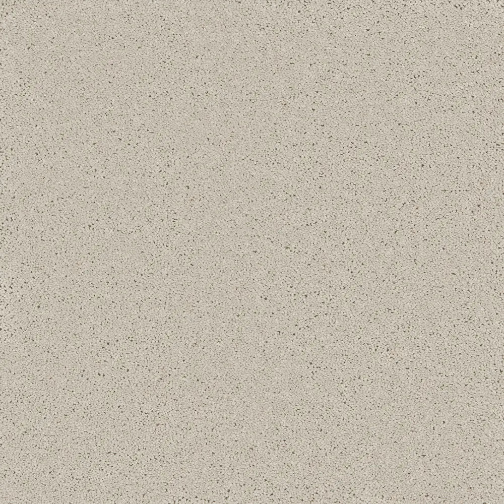 Bliss Carpet