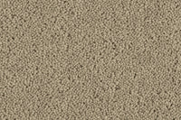 Grange Wilton Carpet - Ulster