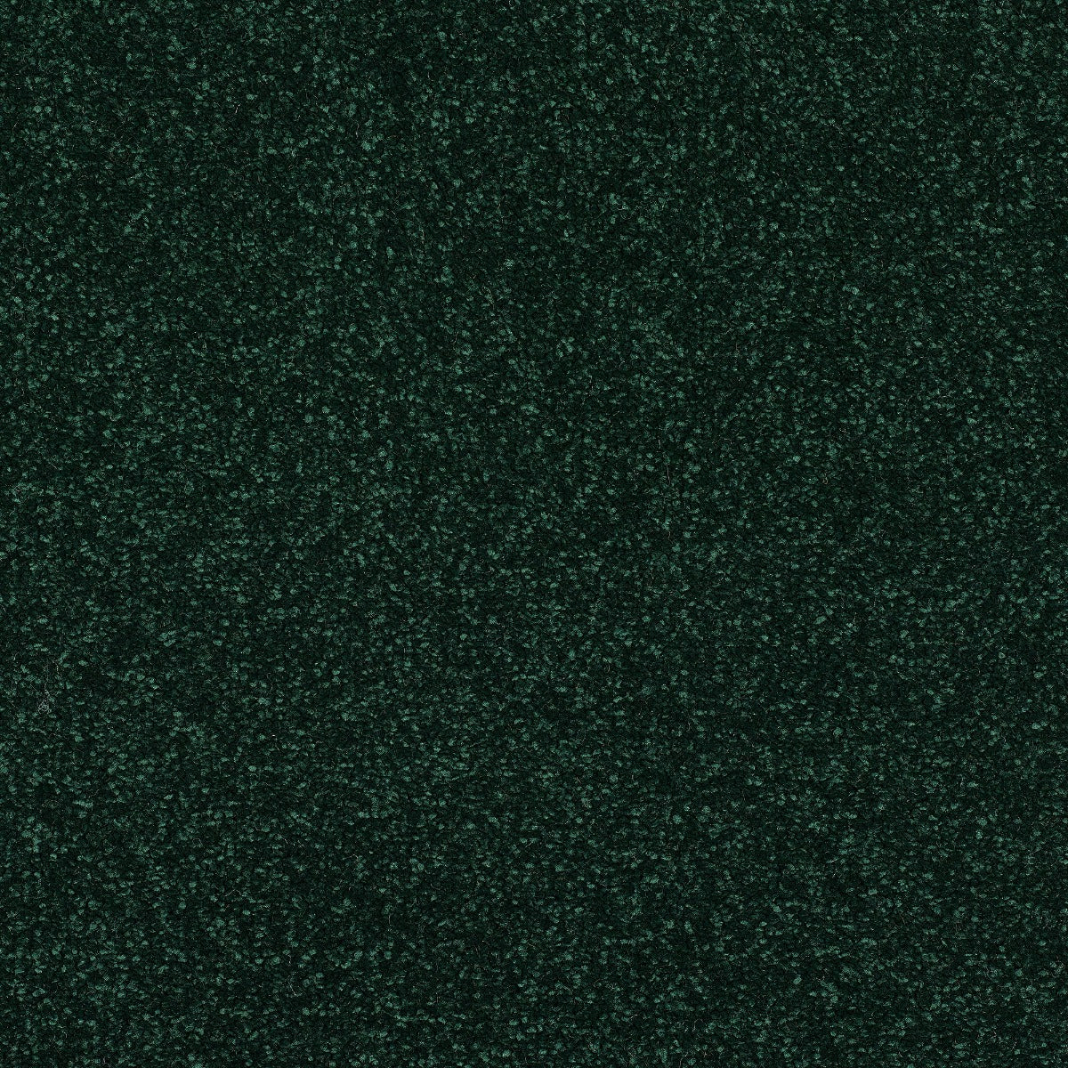 Finesse Carpet