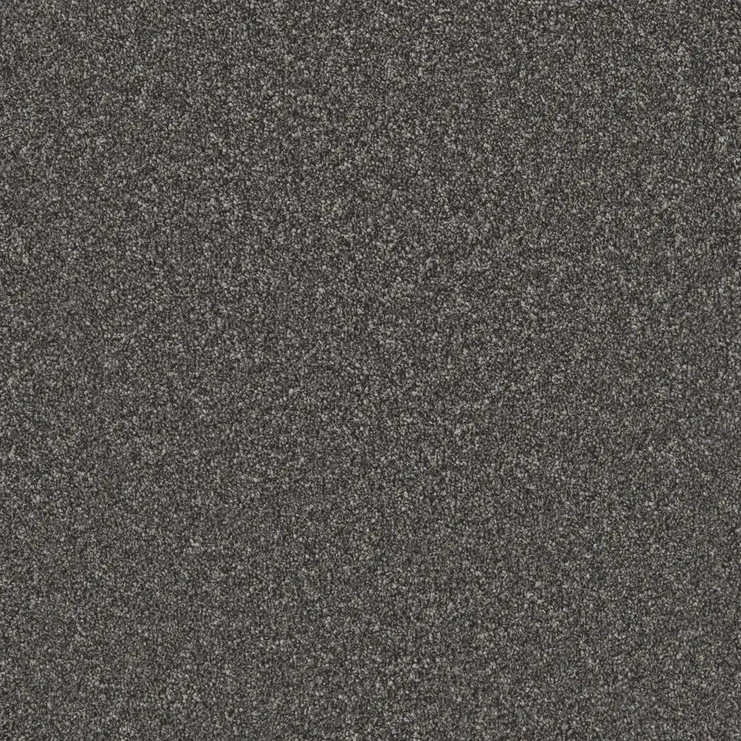 Bliss Carpet