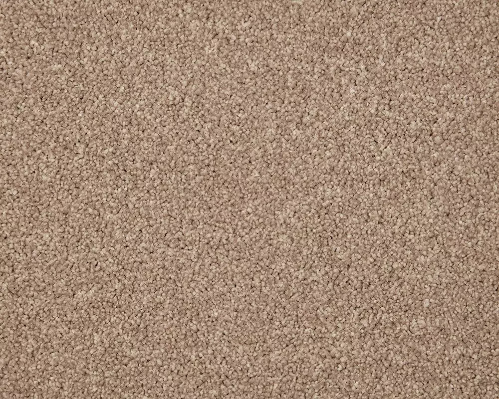 Smart Amazon Carpet