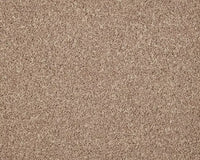 Smart Amazon Carpet