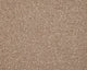 Smart Amazon Carpet