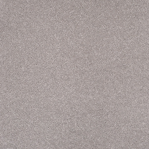 Pandora Carpet