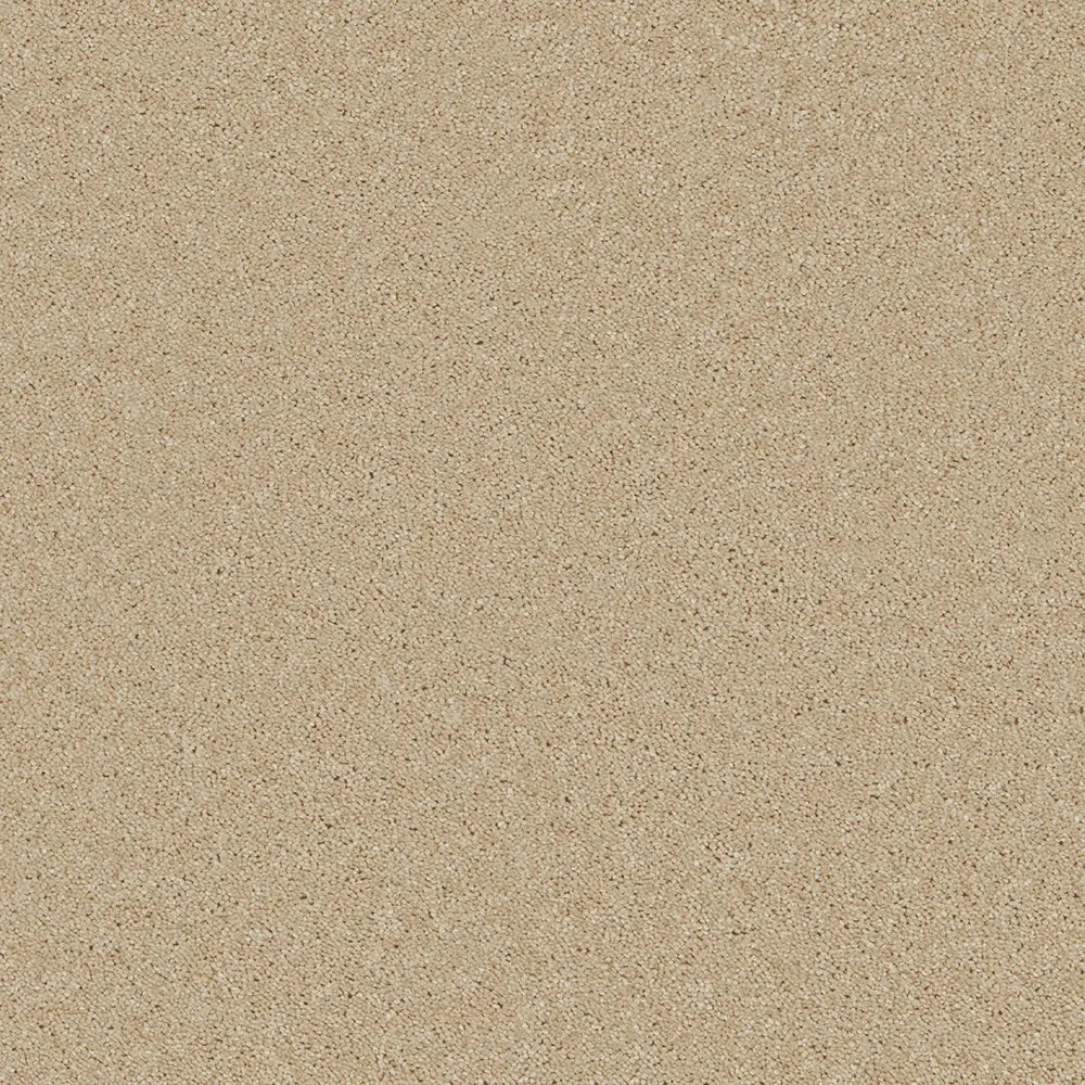 Bliss Carpet