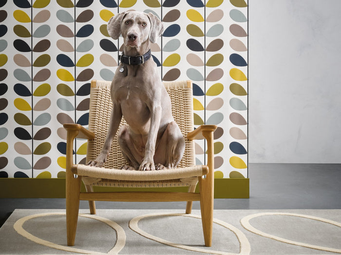 Orla Kiely Rug - Giant Linear Stem