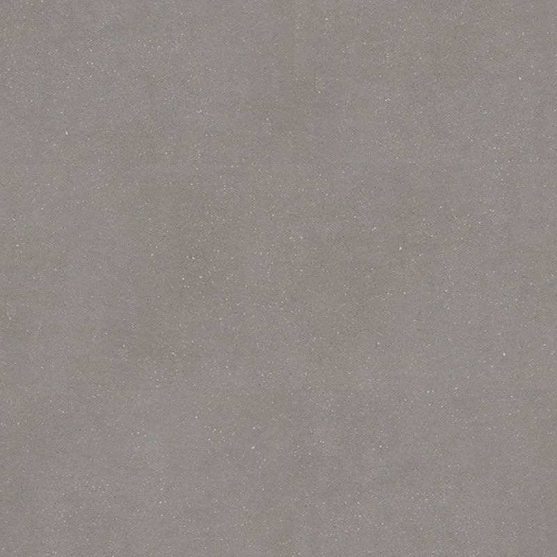 Polyflor Expona Commercial LVT Flooring