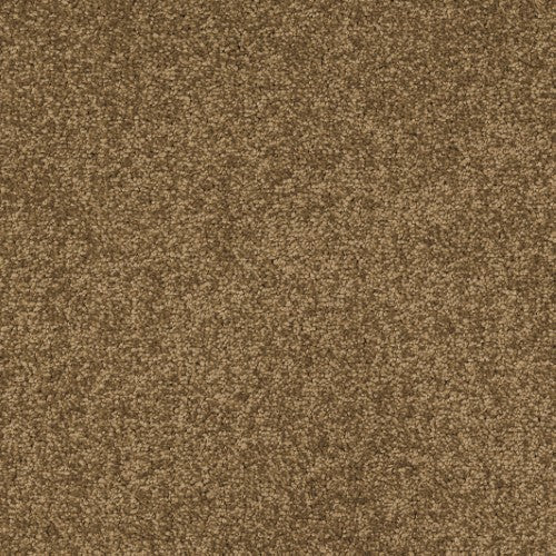 New Ambience Carpet