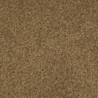 New Ambience Carpet