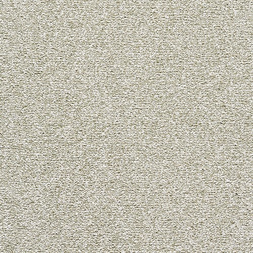 Endless Charm Carpet
