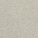 Endless Charm Carpet