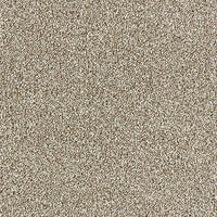 Aphrodite Plus Carpet