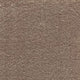 iSense Surprise Carpet