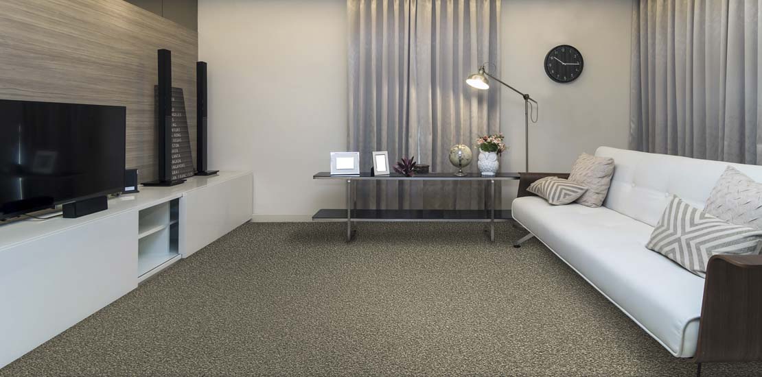 Harmony Carpet