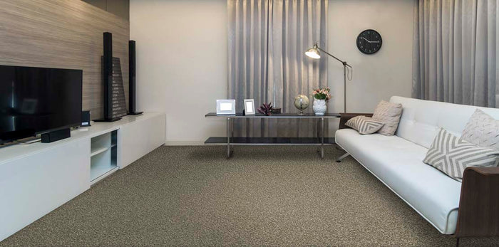 Harmony Carpet