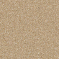 Portmore Classic 34oz Carpet
