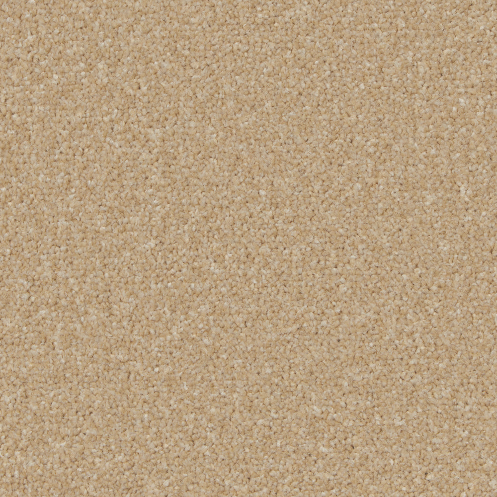 Portmore Elite 42oz Carpet