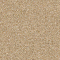 Portmore Elite 42oz Carpet